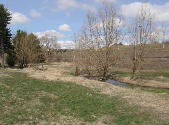 Undeveloped land for Mary's Park in Pullman