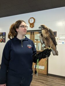 Woman with a hawk perched on her arm